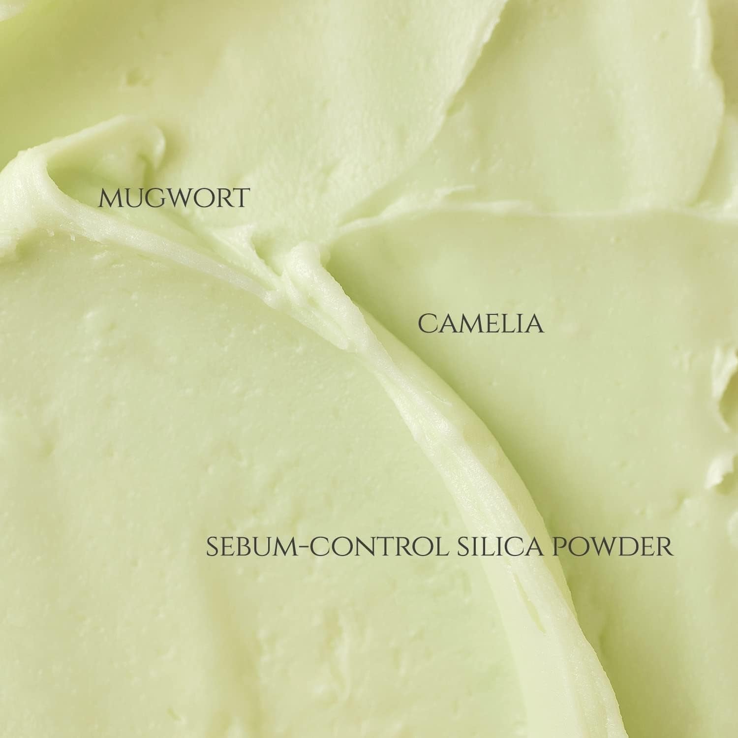 Beauty of Joseon Matte Sun Stick : Mugwort+Camelia (SPF 50+ PA++++)